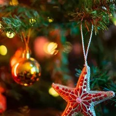 Grandpa Walt's Christmas Lights - Folk Christmas song sample